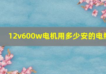 12v600w电机用多少安的电瓶