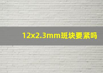 12x2.3mm斑块要紧吗