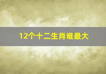 12个十二生肖谁最大