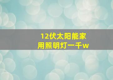 12伏太阳能家用照明灯一千w