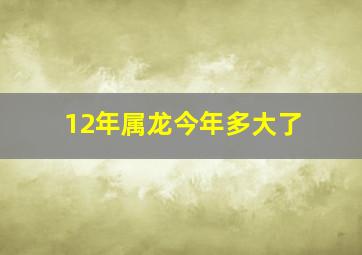 12年属龙今年多大了