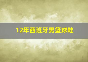 12年西班牙男篮球鞋