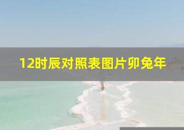 12时辰对照表图片卯兔年