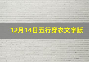 12月14日五行穿衣文字版