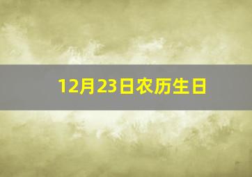 12月23日农历生日