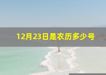 12月23日是农历多少号