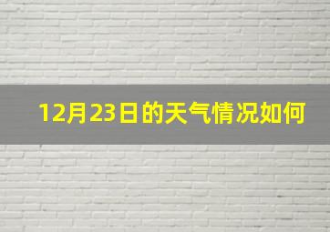 12月23日的天气情况如何