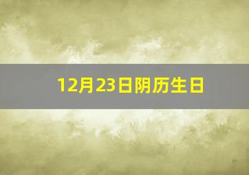 12月23日阴历生日