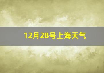 12月28号上海天气