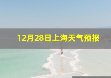 12月28日上海天气预报