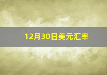 12月30日美元汇率