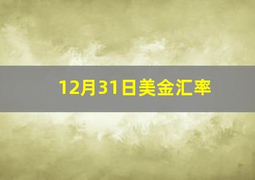 12月31日美金汇率