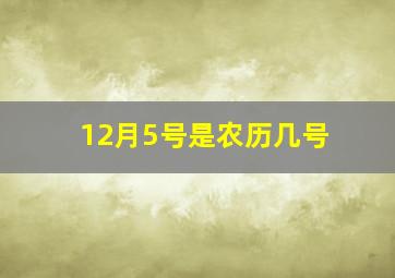 12月5号是农历几号