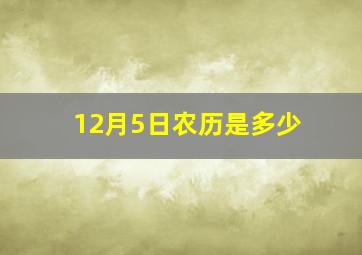 12月5日农历是多少