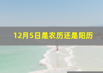 12月5日是农历还是阳历