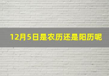 12月5日是农历还是阳历呢