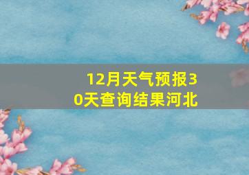 12月天气预报30天查询结果河北