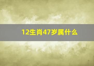 12生肖47岁属什么