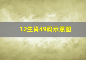 12生肖49码示意图