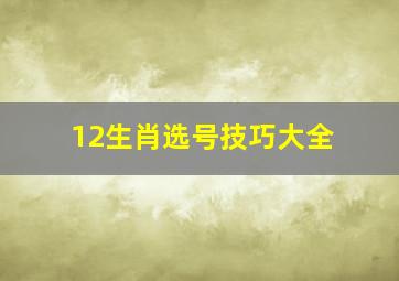 12生肖选号技巧大全