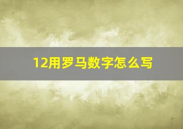 12用罗马数字怎么写