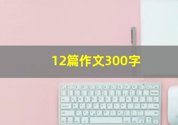 12篇作文300字