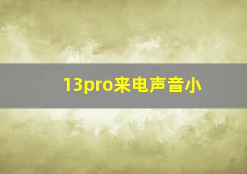 13pro来电声音小