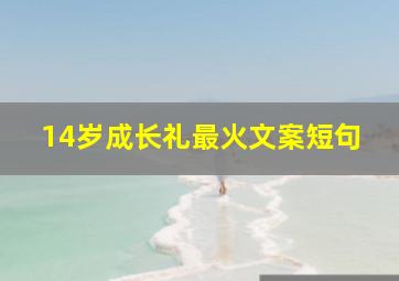 14岁成长礼最火文案短句