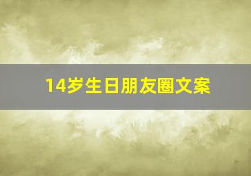 14岁生日朋友圈文案