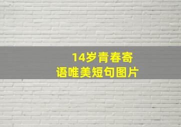 14岁青春寄语唯美短句图片