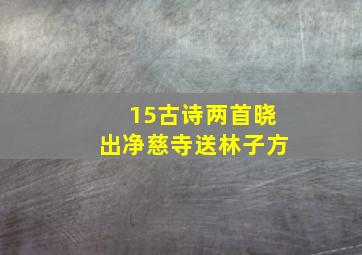 15古诗两首晓出净慈寺送林子方