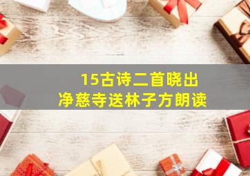 15古诗二首晓出净慈寺送林子方朗读