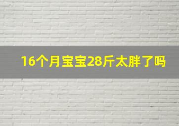 16个月宝宝28斤太胖了吗