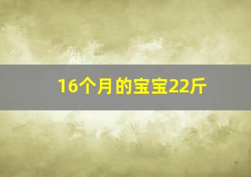 16个月的宝宝22斤