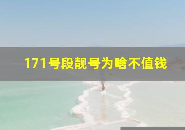 171号段靓号为啥不值钱