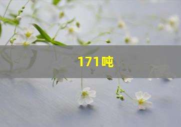 171吨