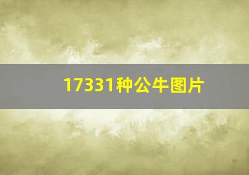 17331种公牛图片