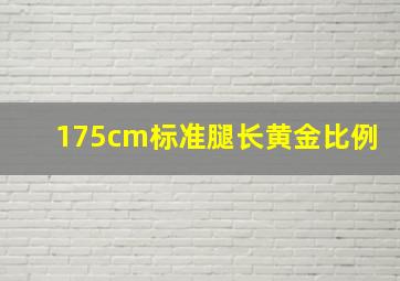 175cm标准腿长黄金比例