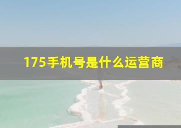 175手机号是什么运营商