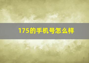 175的手机号怎么样