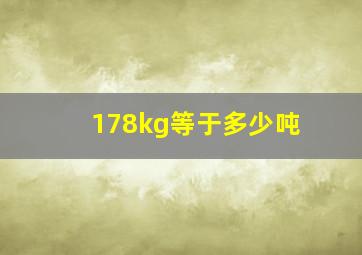 178kg等于多少吨