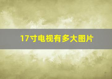 17寸电视有多大图片