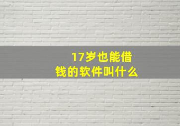 17岁也能借钱的软件叫什么