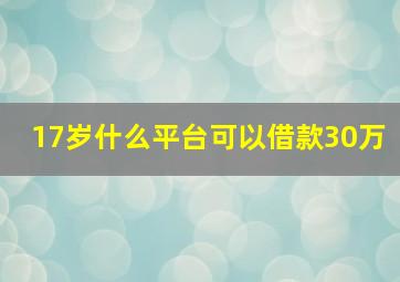 17岁什么平台可以借款30万