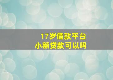 17岁借款平台小额贷款可以吗