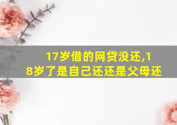 17岁借的网贷没还,18岁了是自己还还是父母还