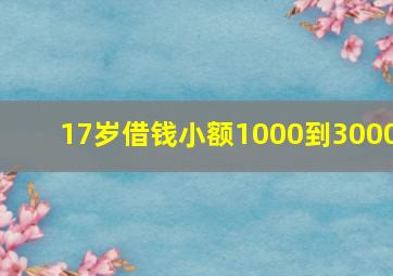 17岁借钱小额1000到3000