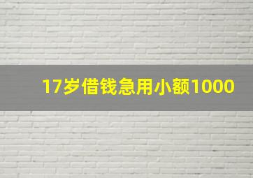 17岁借钱急用小额1000