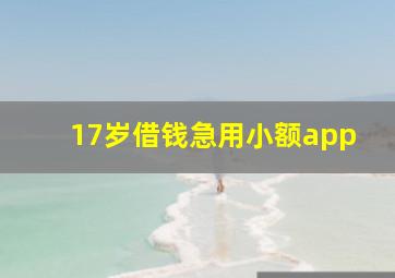 17岁借钱急用小额app