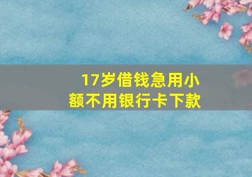 17岁借钱急用小额不用银行卡下款